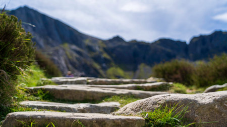 Close-Up of Ancient Stone Steps Leading to Llyn Idwal: A Rugged Pathway Framed by Out-of-Focus...