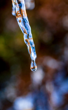 Close-Up of a Melting Icicle Capturing a Water Droplet Mid-Fall with a Blurred Natural Background in Stunning Macro Detailの写真素材