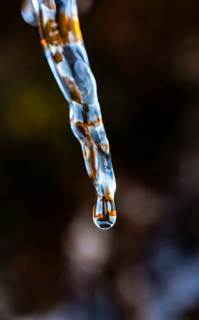 Close-Up of a Melting Icicle Capturing a Water Droplet Mid-Fall with a Blurred Natural Background in Stunning Macro Detailの写真素材