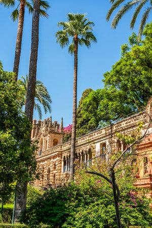 GalerÃ­a de los Grutescos in Sevilleâs Royal AlcÃ¡zar: Palm-Shaded Renaissance Grotesques amid Spainâs Timeless Majesty and Regal Splendorの写真素材