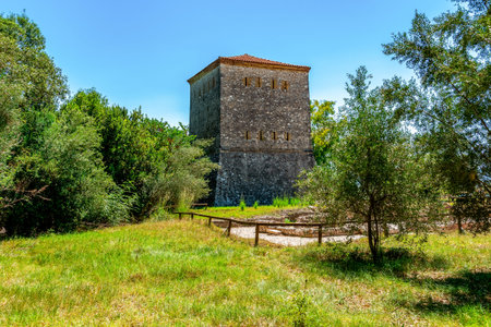 Sunlit Venetian watchtower at Butrint rising above a Mediterranean meadow framed by olive scrub and a clear Albanian skyの写真素材
