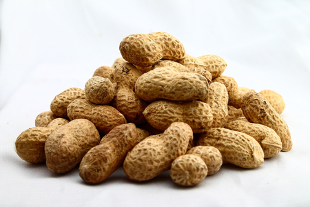 Peanutsの写真素材