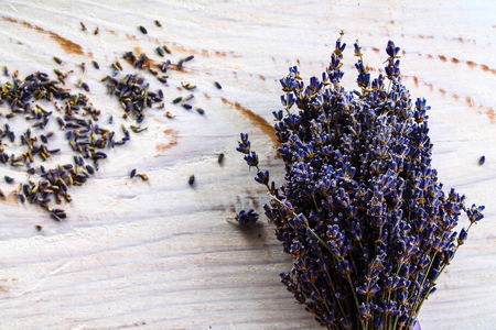 Lavender backgroundの写真素材
