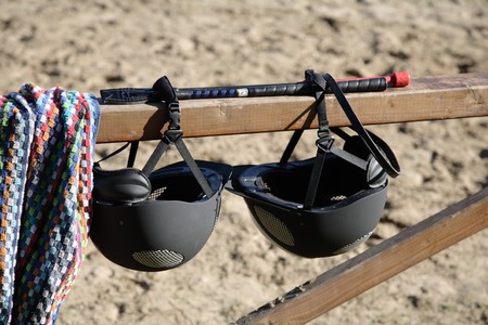 Two helmets, two whips- two friends, two rivals.の写真素材