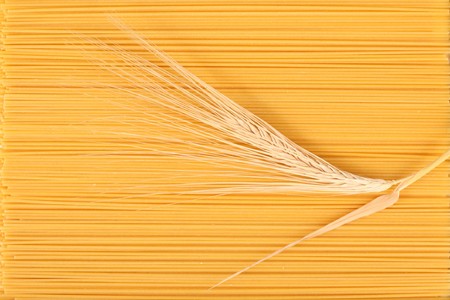 Dried, yellow spaghetti with wheat ear.の写真素材
