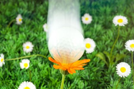 Flying golf ball over flowers and grass.の写真素材