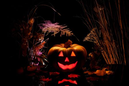 Halloween pumpkin and dry plants on black background.の写真素材
