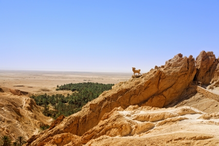 Sculpture of barbary sheep in mountain oasis Chebika, Tunisia の写真素材