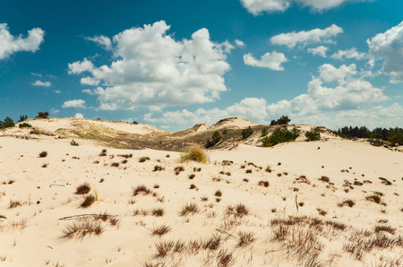 Polish desert in Slowinski park narodowy / Slowinski national park / Polandの写真素材