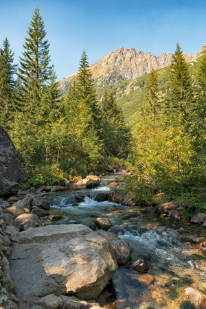 Roztoka valley with Roztoka river, High Tatras mountains, Polandの写真素材