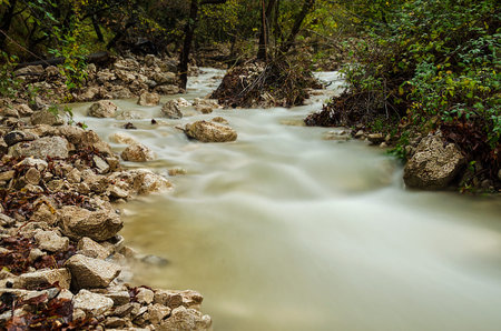 Beautiful river Vela Draga taken with long exposure in autumnn on the bottom of canyon Vela Draga,...