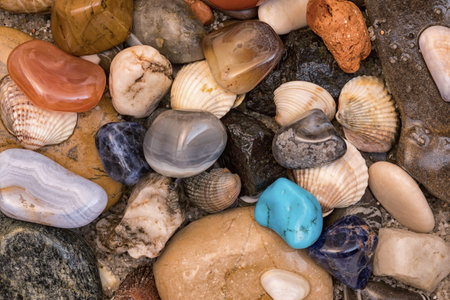 Summer theme with shells, wet colored stones and sand, decoration