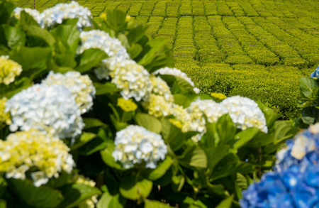 Beautiful coast on a sunny dayの写真素材