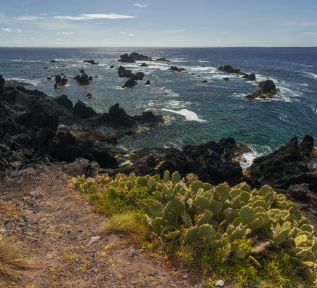 Volcanic coastline in Ferraria, Sao Miguel, Acoresの写真素材
