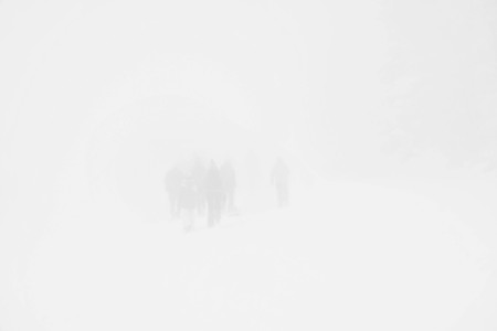 Bush and trees covered by ice in snowy foggy dayの写真素材