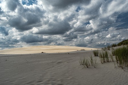Slowinski national park, sand dunes in Lebaの写真素材