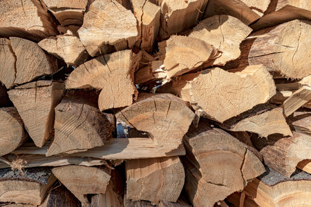 Wooden wall of cutted spruce wood