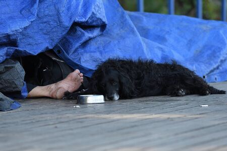 Sleeping homeless and his black dirty dog, Prague, Czech Republicの写真素材