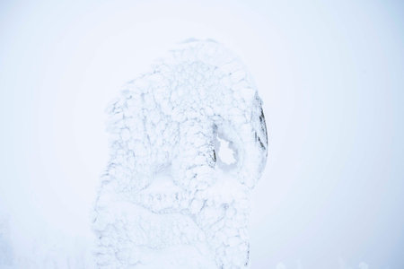 Elephant statue in the winter on Kralicky sneznikの写真素材