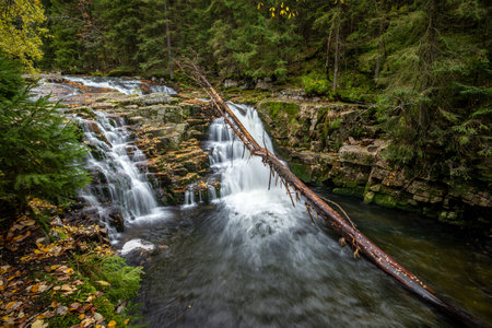 Waterfall in the forest. Autumn landscape with a waterfall in the forest.の写真素材