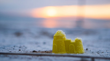 toy on the winter beach