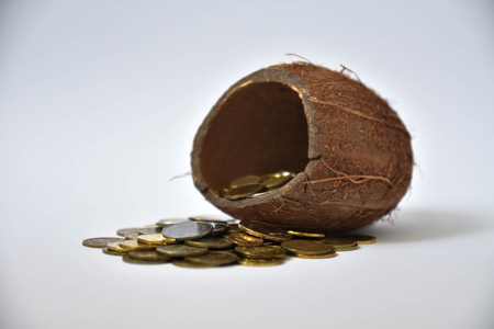 Pennies Scattered on White Backgroundの写真素材