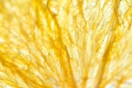 Texture dried orange fruit. Macro, art soft focusの写真素材