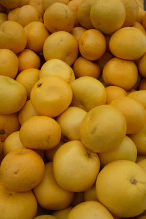 Grapefruit in the marketの写真素材