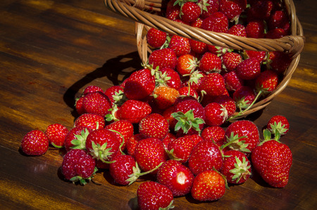 Freshly picked fruits of strawberries in a reversed wicker basket, sprinkled on a wooden tableの写真素材