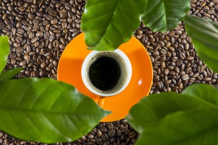 A view of a cup of coffee over green leaves of a coffee plant. Orange cup on coffee beans. View from above.の写真素材