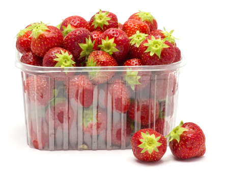 Strawberries in a plastic box  Straight from the field  Small, sweet strawberries  の写真素材