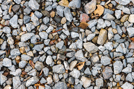 Top view of grey gravel with leaves.の写真素材