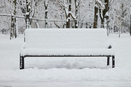 Bench in the park in the snow in winter.の写真素材