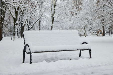 Bench under the snow in the park in winter.の写真素材