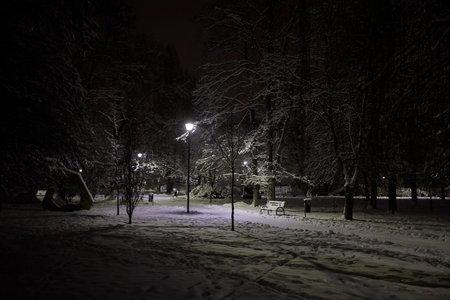 Illuminated public park at night. Pathway through the snow public park.の写真素材