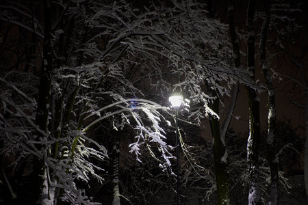Lantern in the snowy park at night.の写真素材