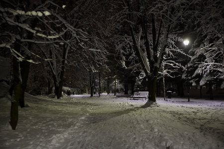 Illuminated city park at night. Pathway through the snow public park.の写真素材