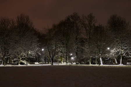 Evening view of the snowy public park with trees and lanterns.の写真素材