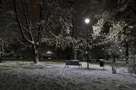 Illuminated city park with benches at night.の写真素材