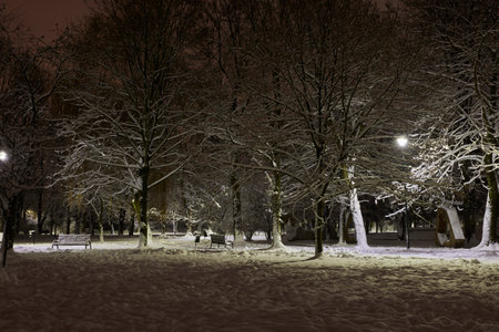 Tranquility in a snowy park among trees and benches.の写真素材