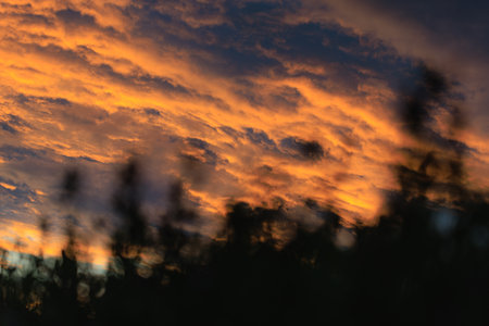 Beautiful dramatic natural sunset under the field.の写真素材
