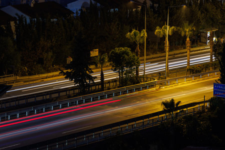 Night road with lines from car headlights next to palms.の写真素材