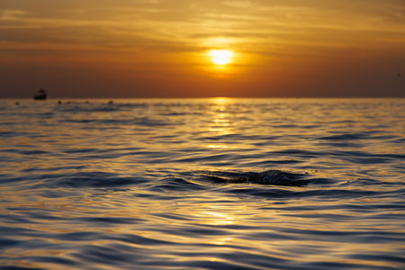 A man dived into the sea at sunsetの写真素材