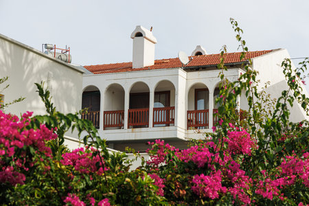 House behind bushes with pink flowers. Focus on the house.の写真素材