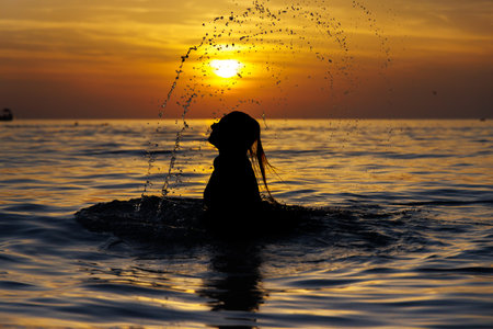 The girl silhouette emerged from the sea with splashes at sunset.の写真素材