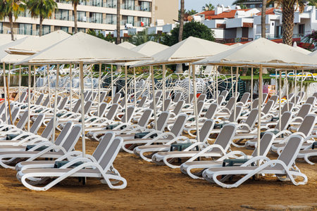 Empty sun loungers on the sea beach in low season.の写真素材