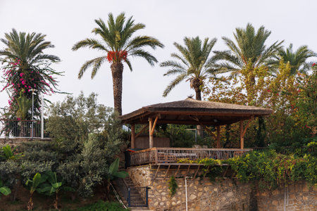 Terrace under the palm trees in Turkey.の写真素材