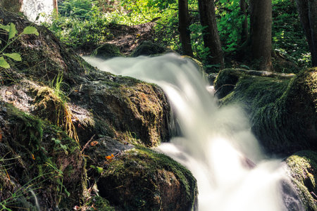 Mini waterfall river in the summer forest with long exposure.