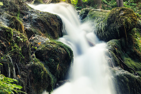 Mini waterfall in the summer forest with long exposure.