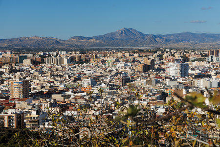 View of the city of Alicante through tree branches.の写真素材